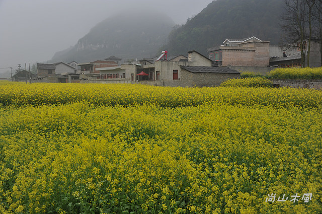 花艷貴州（7）屯堡