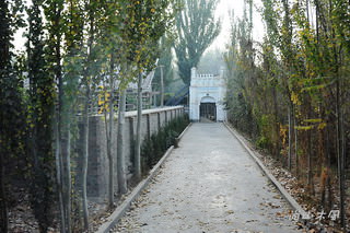 大漠南疆（35）核桃樹王公園