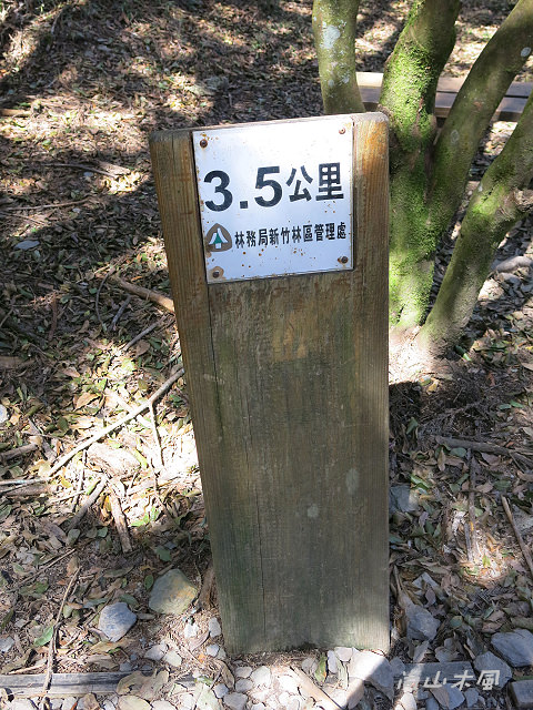 觀霧（6）檜山巨木群步道之一