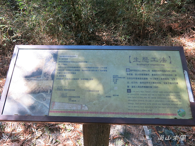 觀霧（6）檜山巨木群步道之一