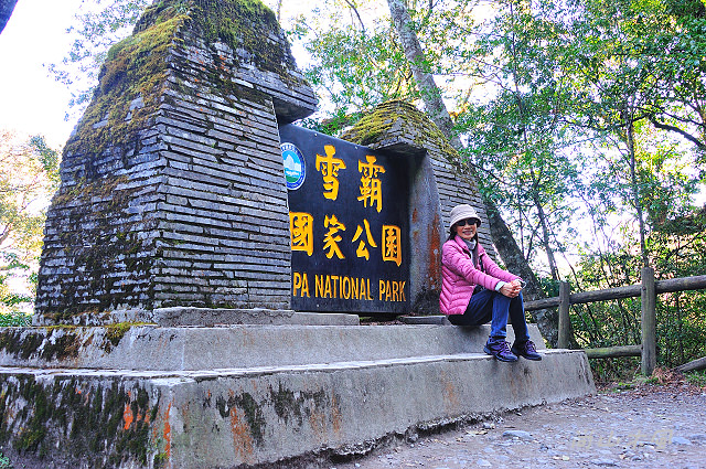 觀霧（3）沿著大鹿林道上山去