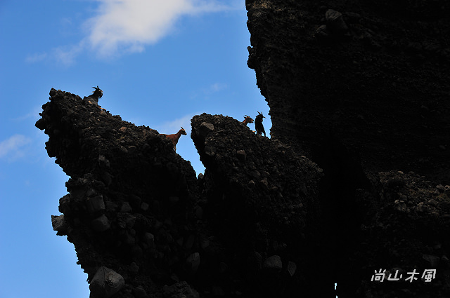 島遊蘭嶼（12）紅頭岩、鱷魚岩、坦克岩