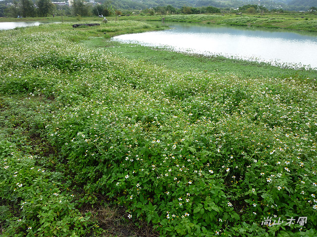 竹東河濱公園（三）