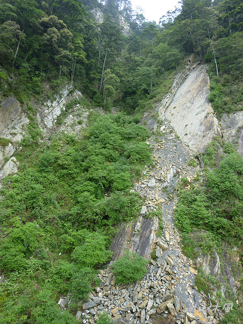 大雪山（4）驅車於200縣道（二）