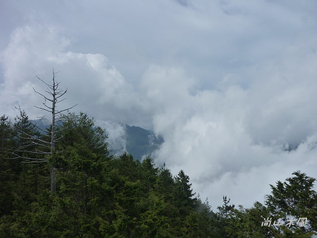大雪山（6）觀景於200林道