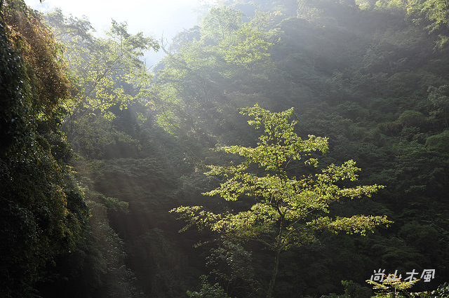 大雪山（1）上山消暑去