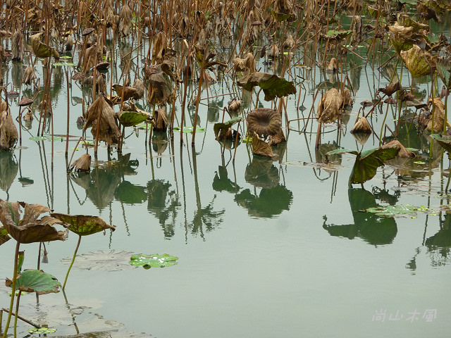 竹東河濱公園（三）