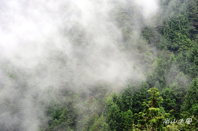 大雪山（6）觀景於200林道