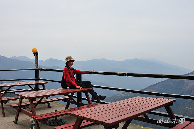 觀霧（3）沿著大鹿林道上山去