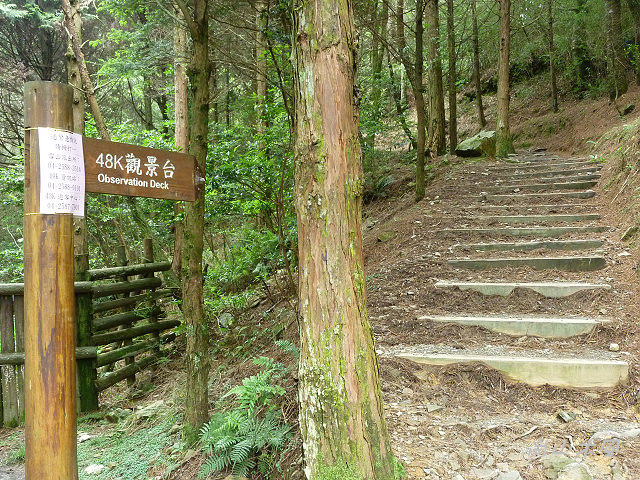 大雪山（6）觀景於200林道