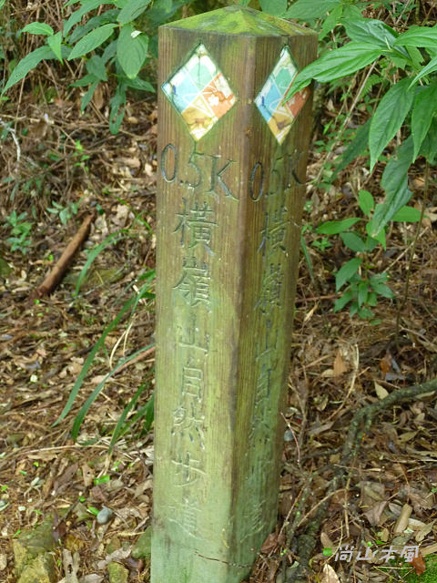 大雪山（4）驅車於200縣道（二）