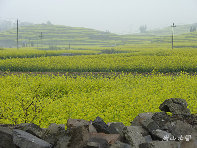 花艷貴州（10）雲山屯──本寨（一）