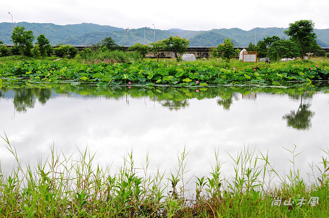 竹東河濱公園（三）