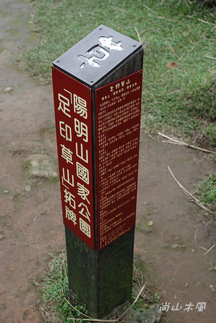擎天崗