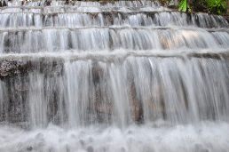 惠蓀林場（五）涉水步道