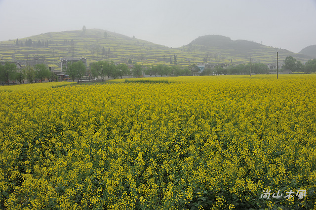 花艷貴州（10）雲山屯──本寨（一）