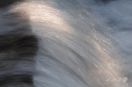 惠蓀林場（五）涉水步道