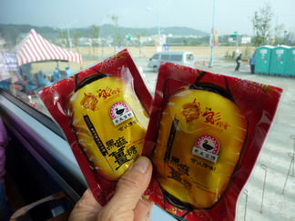 2013台灣燈會在新竹（一）
