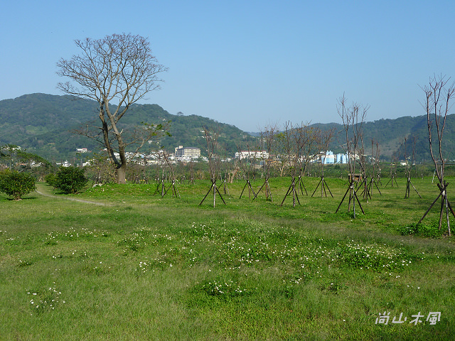 竹東河濱公園（二）