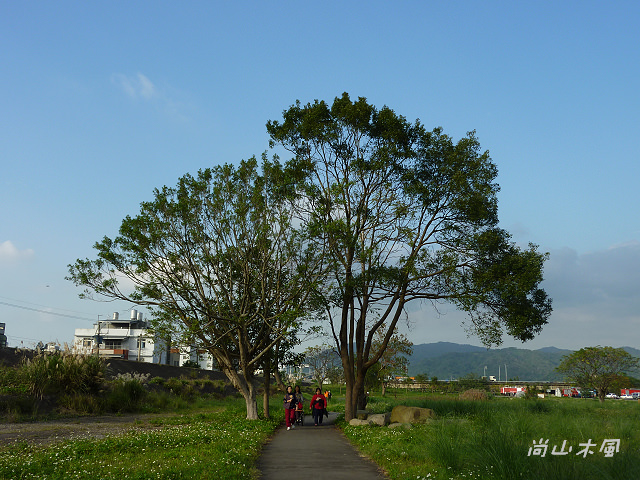竹東河濱公園（三）