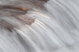 惠蓀林場（五）涉水步道