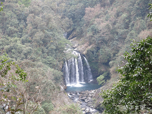 觀霧（3）沿著大鹿林道上山去