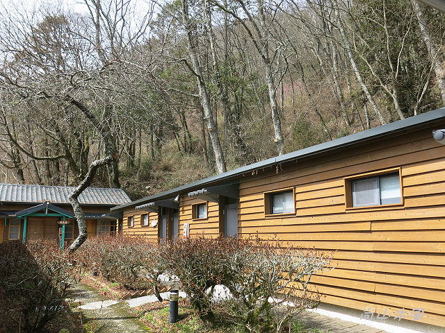 觀霧（10）觀霧山莊