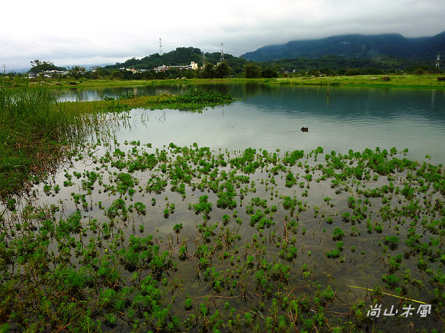 竹東河濱公園（三）