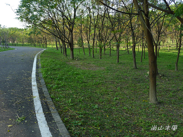 竹東河濱公園（二）