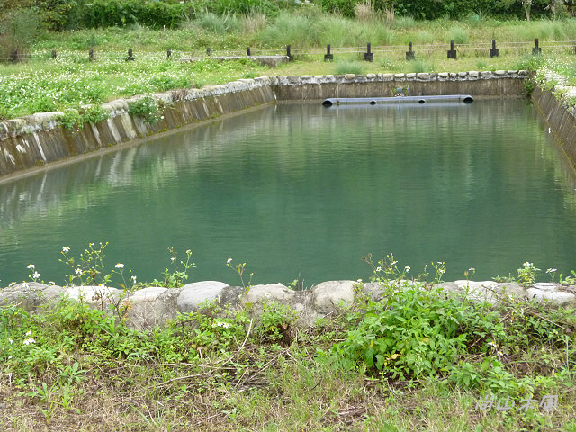 竹東河濱公園（三）