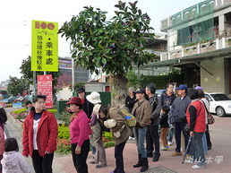 2011台灣燈會在苗栗（一）