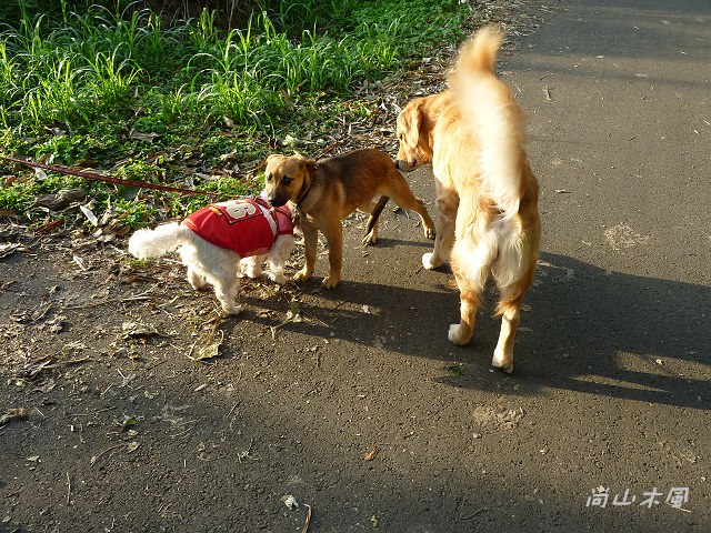 竹東河濱公園（二）