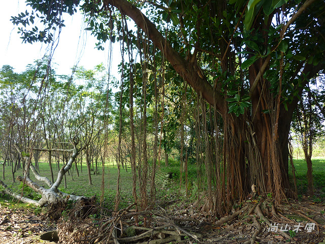 竹東河濱公園（二）