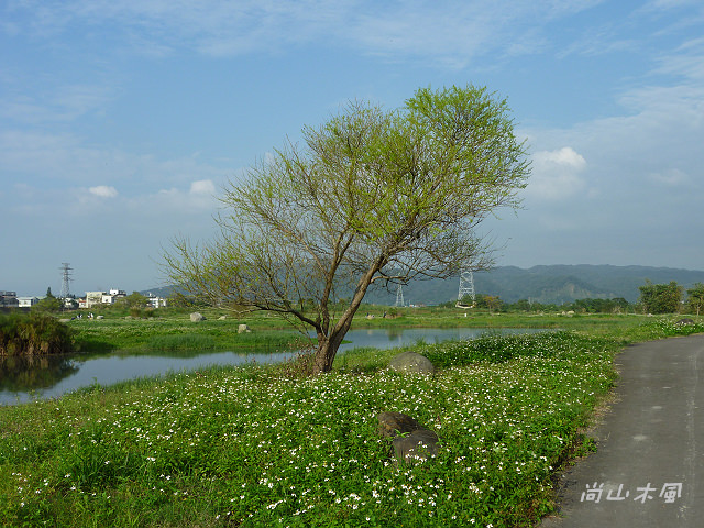 竹東河濱公園（三）