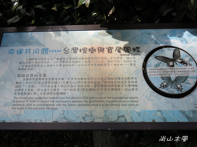 觀霧（10）觀霧山莊