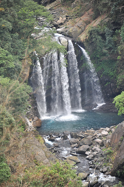 觀霧（3）沿著大鹿林道上山去