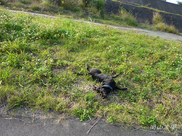 竹東河濱公園（三）