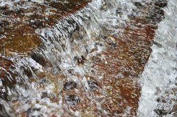 惠蓀林場（五）涉水步道