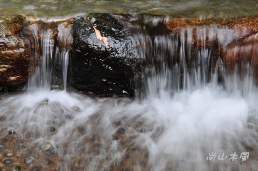 惠蓀林場（五）涉水步道