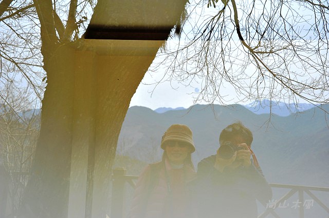 觀霧（10）觀霧山莊