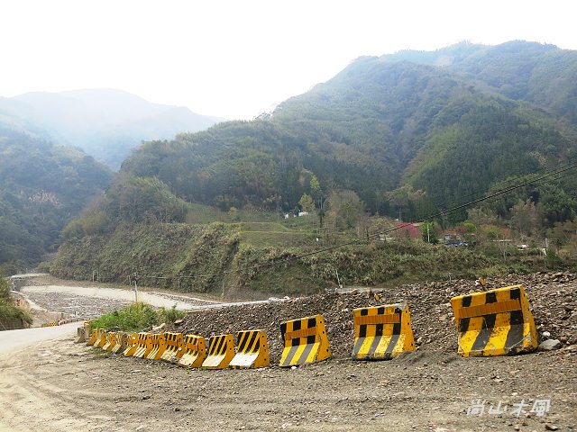 觀霧（3）沿著大鹿林道上山去