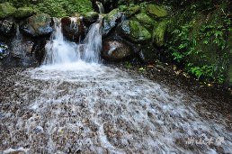 惠蓀林場（五）涉水步道