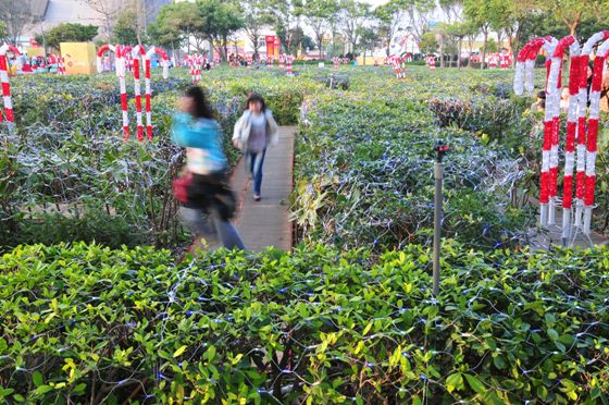 2011台灣燈會在苗栗（三）