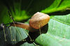 DSC_0666_name.jpg