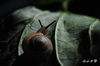 DSC_0699.jpg