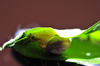 DSC_0738.jpg