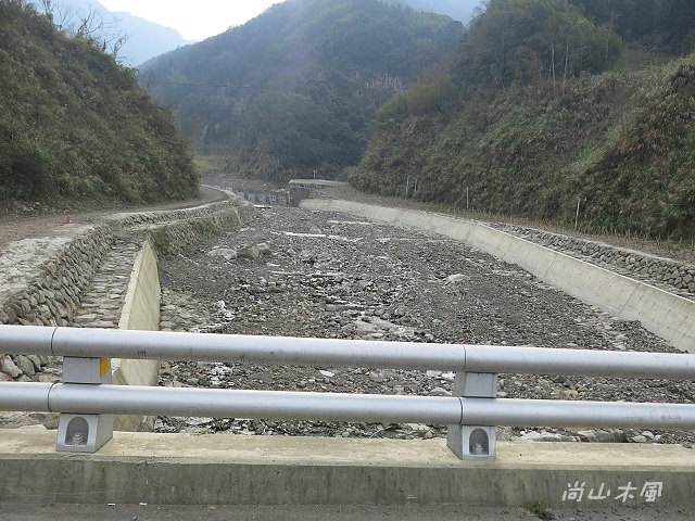 觀霧（3）沿著大鹿林道上山去