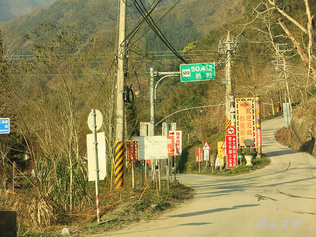 觀霧（3）沿著大鹿林道上山去