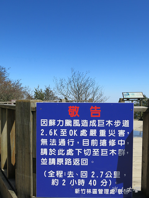 觀霧（6）檜山巨木群步道之一
