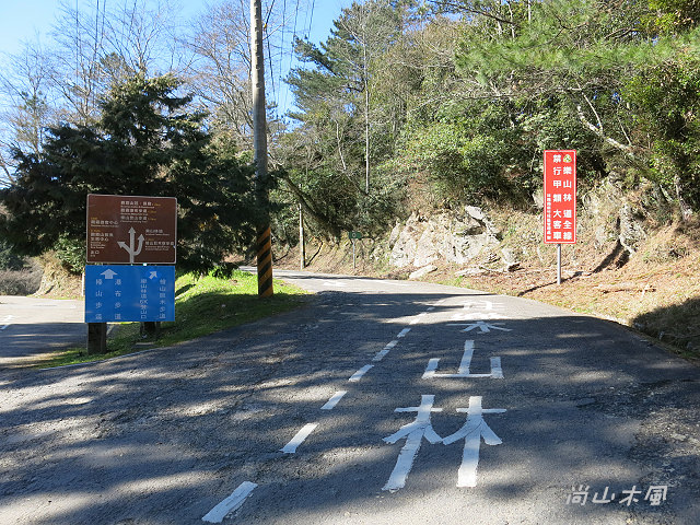 觀霧（3）沿著大鹿林道上山去